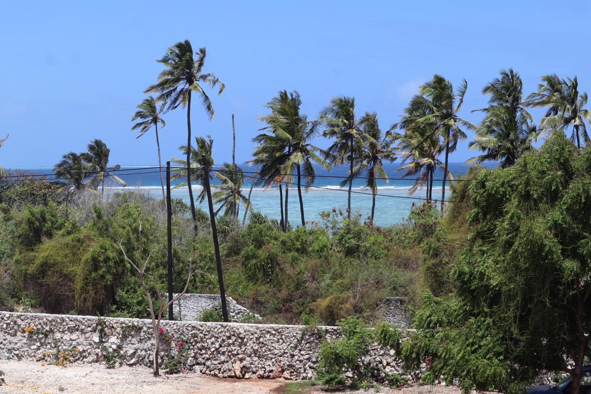 Holiday Time Bungalows Zanzibar 马特姆维 外观 照片