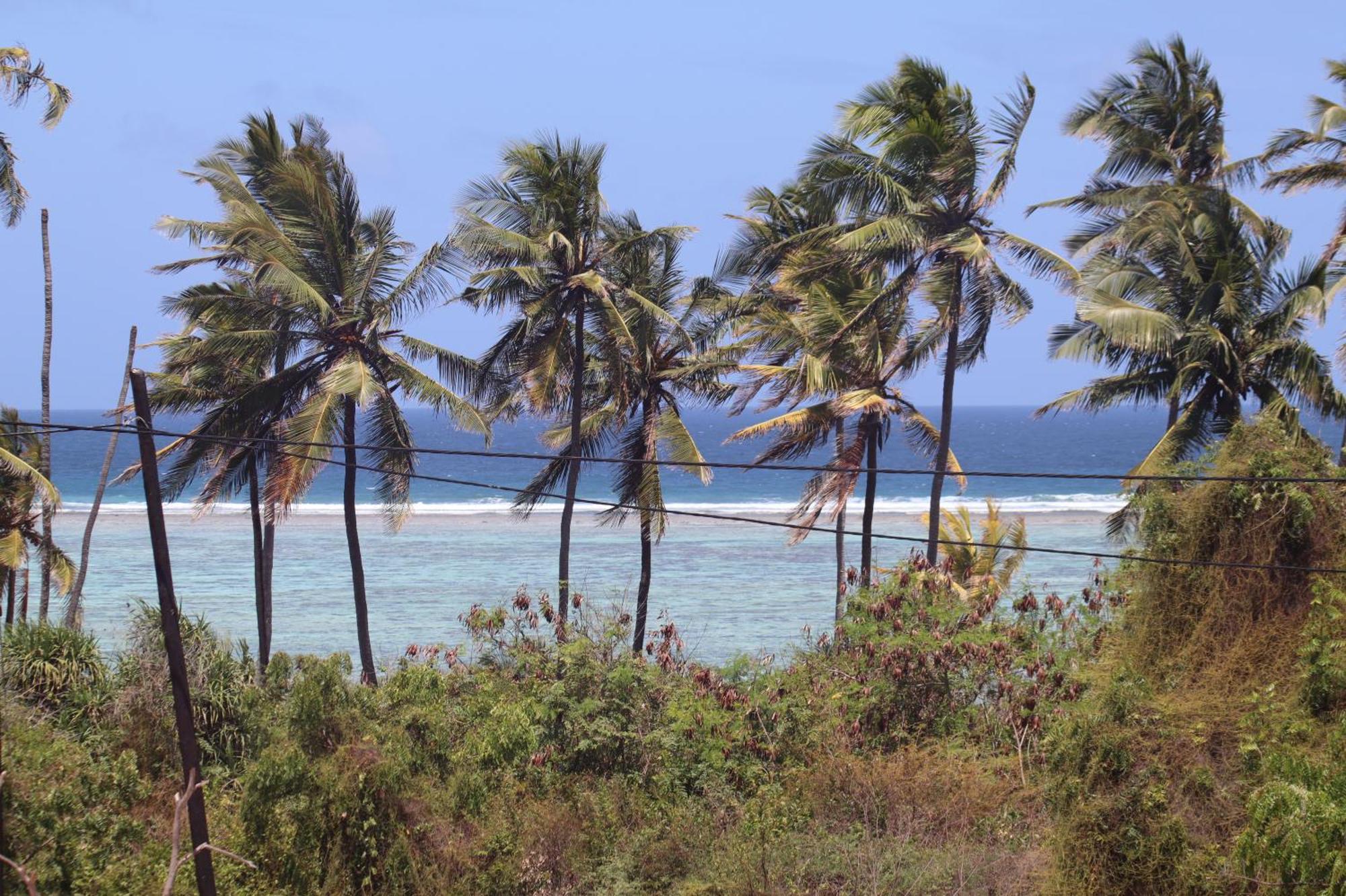Holiday Time Bungalows Zanzibar 马特姆维 外观 照片